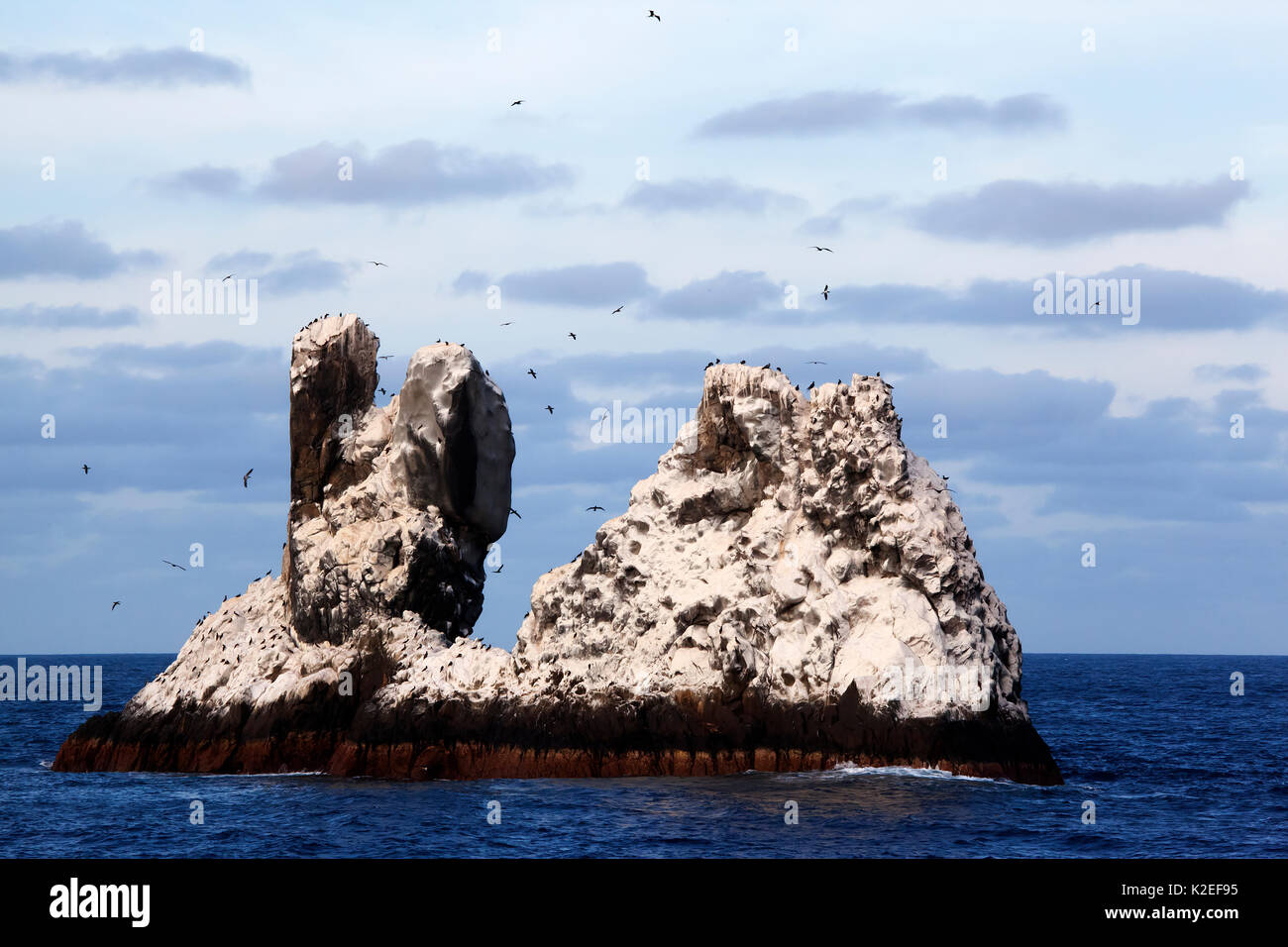 Roca Partida Islet, Revillagigedo Archipelago Biosphere Reserve / Archipielago de Revillagigedo UNESCO Natural World Heritage Site (Socorro Islands), Pacific Ocean, Western Mexico, January Stock Photo