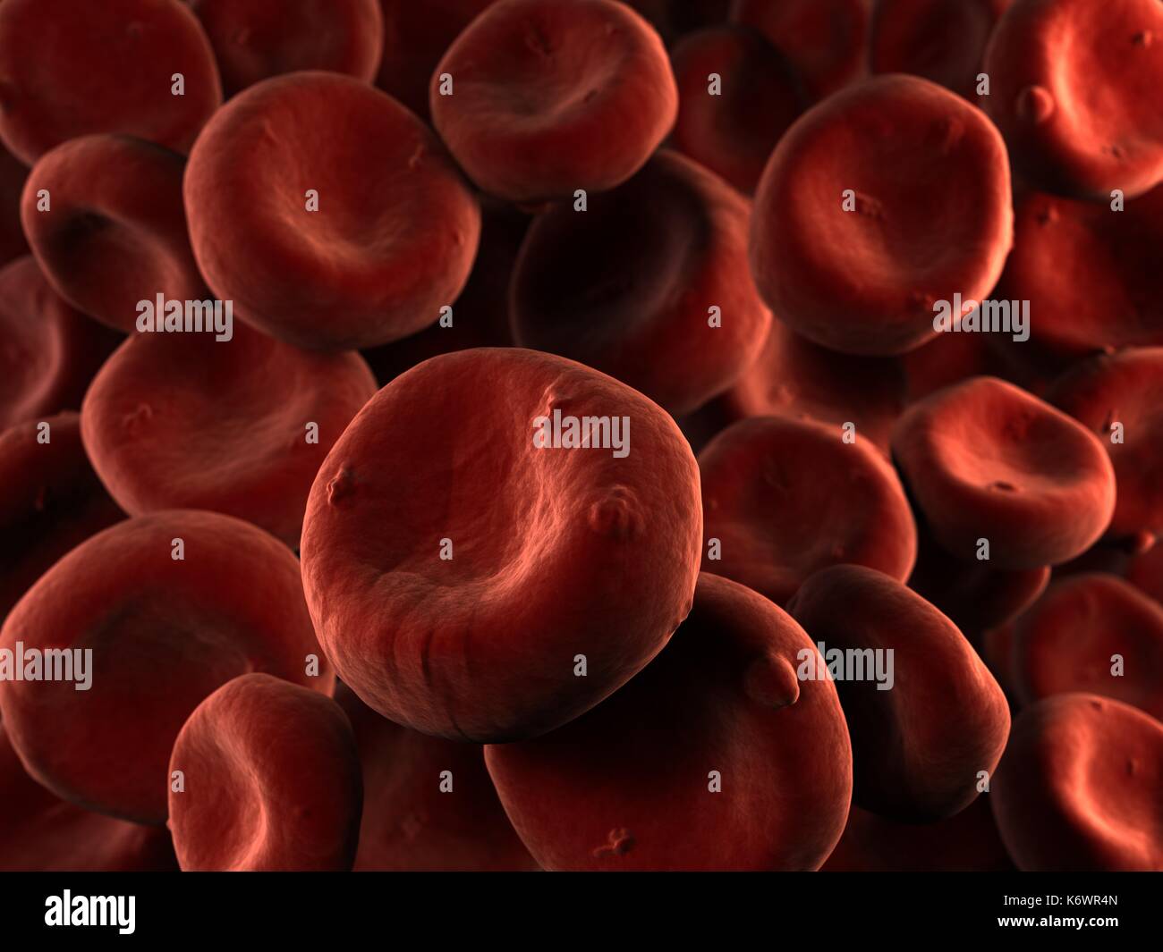 Red Blood Cells (Erythrocytes) flowing in blood stream, SEM (scanning Electron Microscope) false rich red colored stylized depiction. Stock Photo