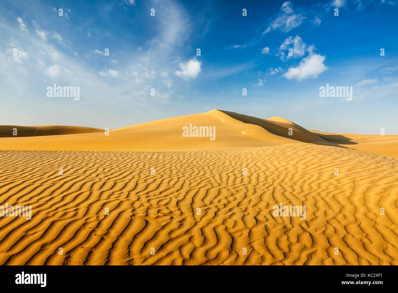 Dunes of Thar Desert, Rajasthan, India Stock Photo