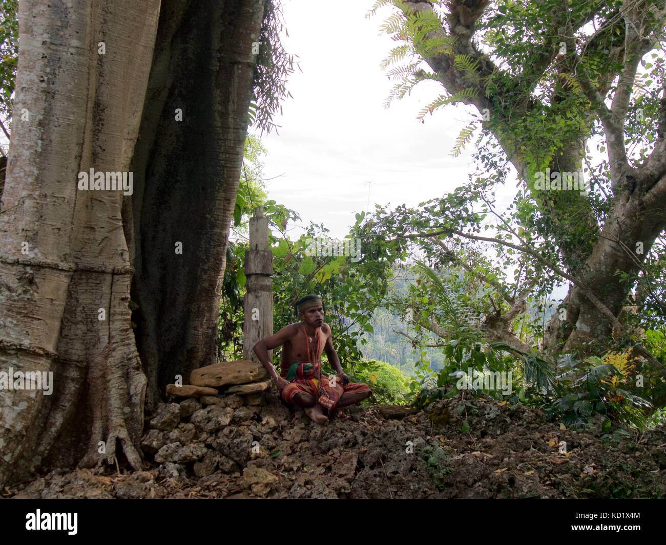 Warrior of former headhunting None tribe,West Timor, Indonesia in traditional ikat clothes sitting in forest where shaman decided when to attack enemy Stock Photo