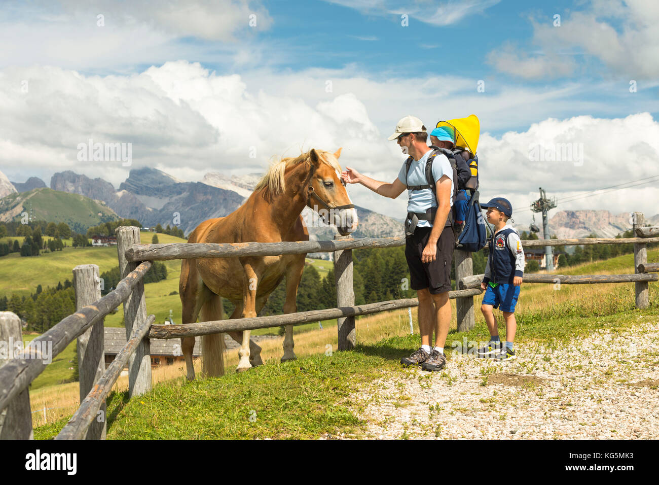 a family of tourists stands in front of a beautiful horse on the Seiser Alm, (Alpe di Siusi), Bolzano province, South Tyrol, Trentino Alto Adige, Italy Stock Photo