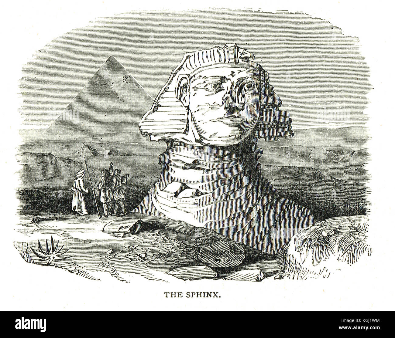 Great Sphinx of Giza & Pyramid, Egypt Stock Photo