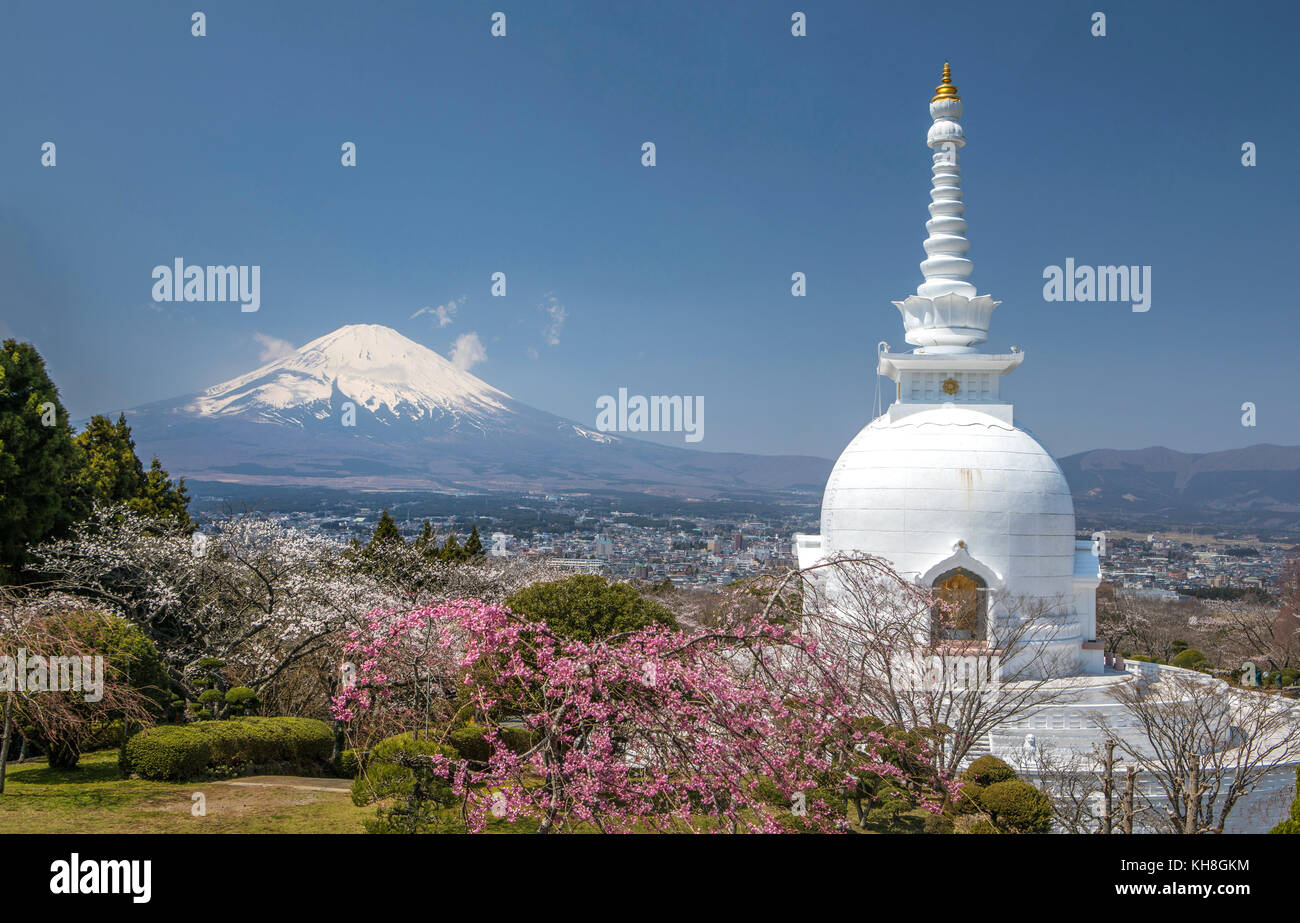 Japan, Gotemba City, Budist Temple and Mount Fuji, Chery Blossoms *** Local Caption *** buddhist, Cherry Blossoms, Gotemba City, japan, lanterns, Moun Stock Photo