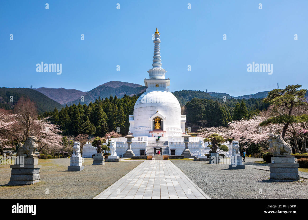 Buddhist Temple, Cherry Blossoms, japan *** Local Caption *** architecture, buddhist, Cherry Blossoms, Gotemba City, japan, lanterns, panorama, spring Stock Photo