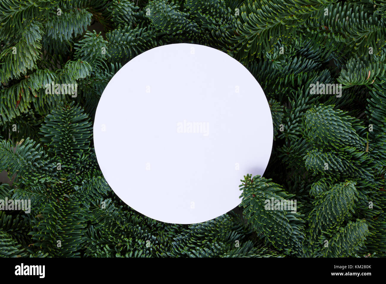 Christmas background with evergreen tree Stock Photo