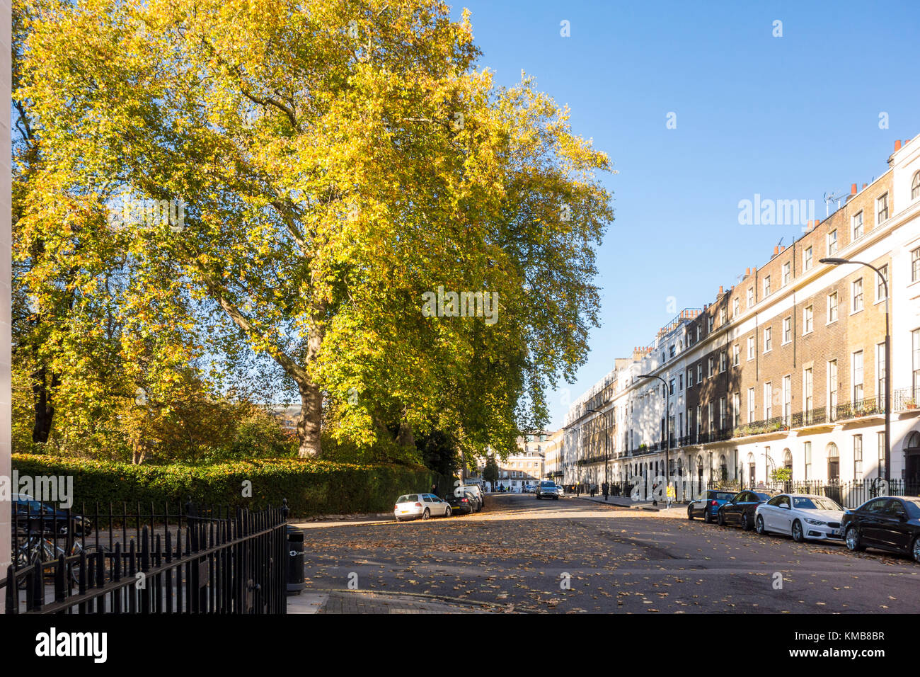 Early autum / fall / autumnal scene in Mecklenburgh Square with green trees and fallen leaves. Terraced houses designed by Joseph Kay. Bloomsbury, Lon Stock Photo