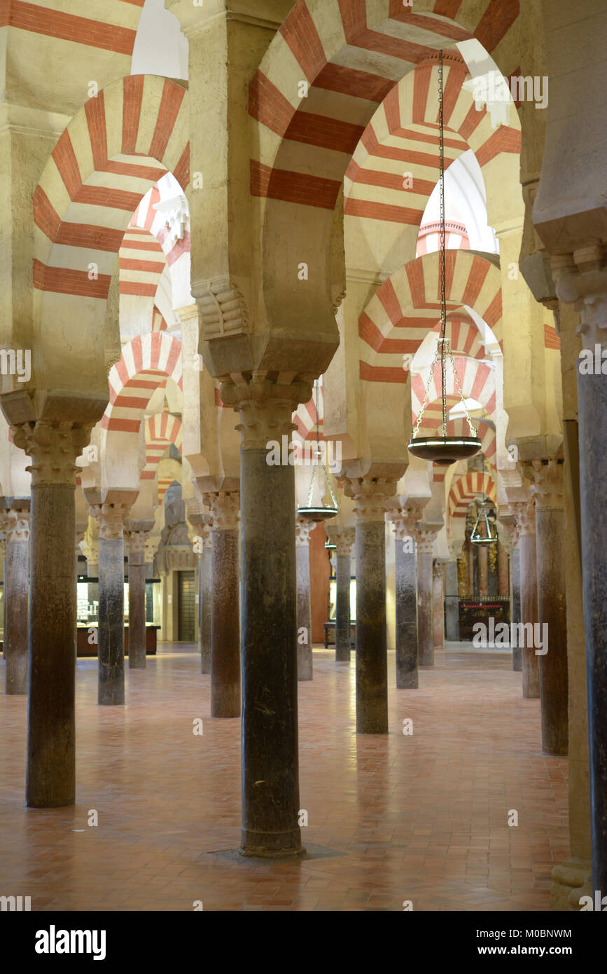 Cordoba, Spain - January 5, 2013: Arcaded hypostyle hall of the Mosque–Cathedral. It's the most notable part of the building which is listed as the Wo Stock Photo