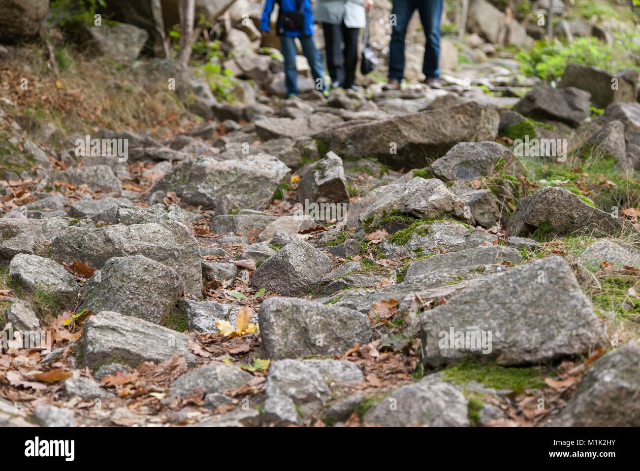 steiniger Wanderweg im Harz Stock Photo