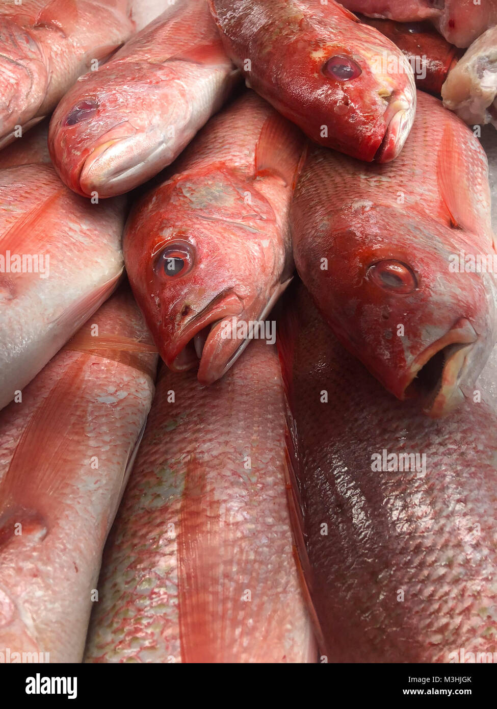 Fresh red fish on ice at a local market Stock Photo