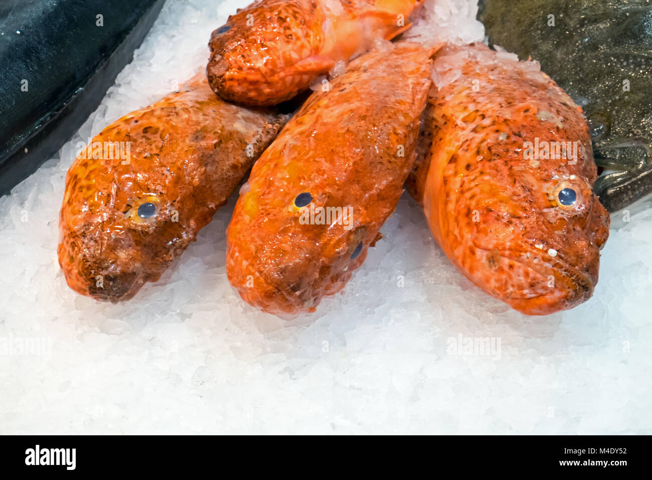 Red fish on ice at the Boqueria market in Barcelona Stock Photo