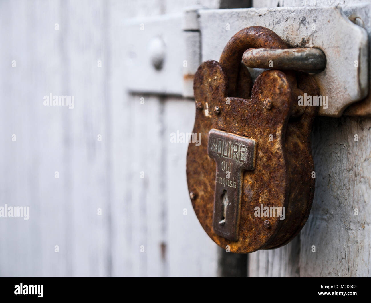 Rusty padlock on old garage door Stock Photo