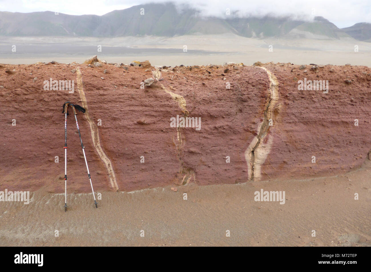 exposed fumarole pipes on the hingeline northwest of Mt Cerberus . Most fumaroles are complexly zoned in mineralogy and color. The throat of the fumaroles (seen as the vertical whitish lines in the Stock Photo