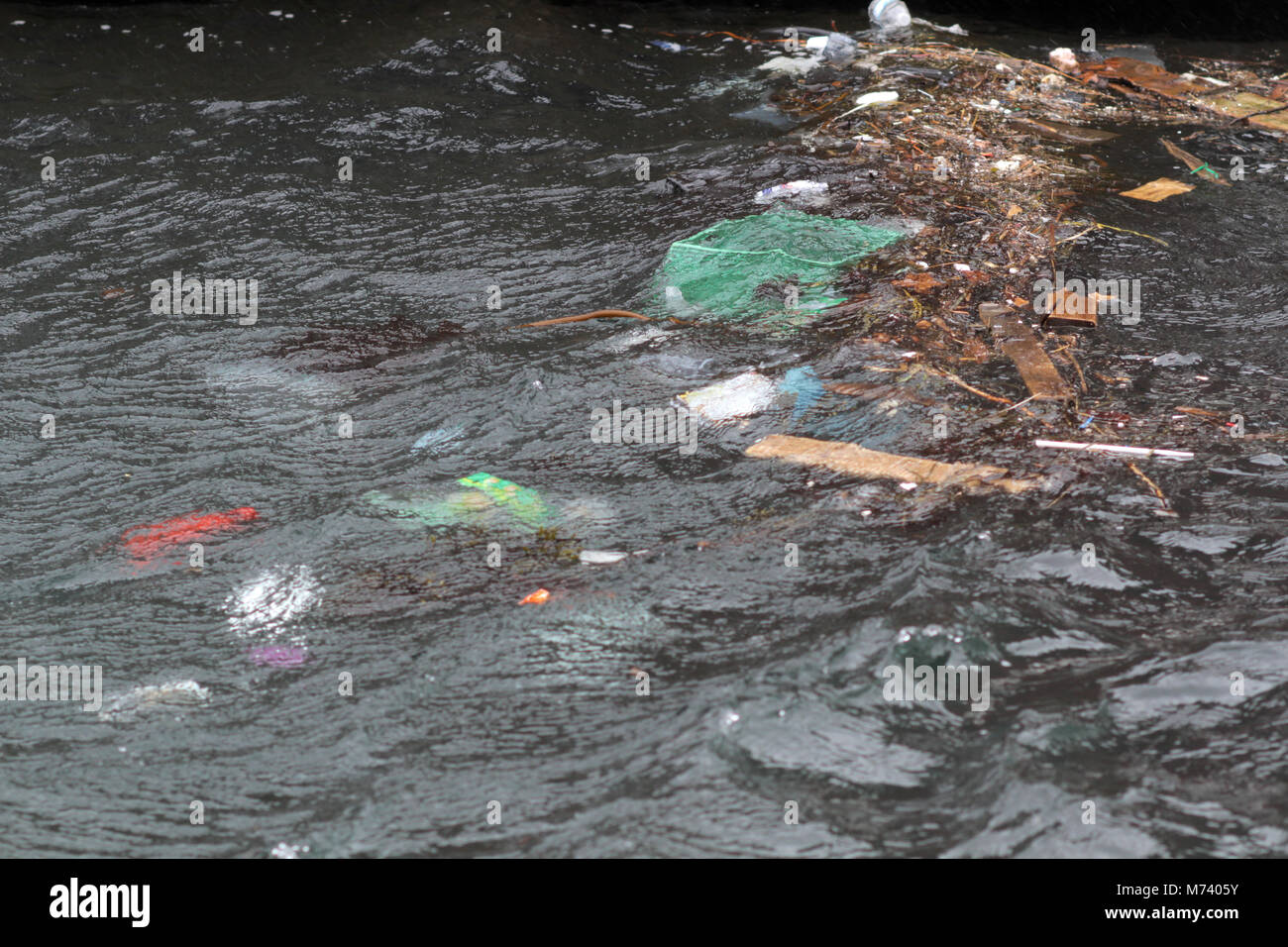 Halifax, Canada. 8th Mar, 2018. A late winter storm brings messy weather to Halifax, N.S., Mar. 08, 2018. Credit: Lee Brown/Alamy Live News Stock Photo