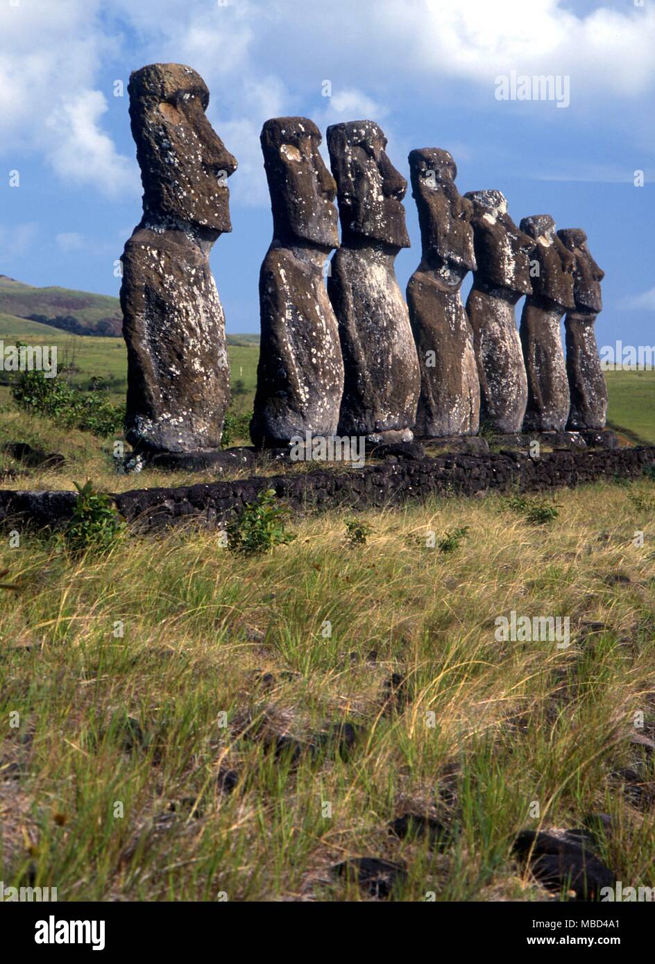 Easter Island - Group of megalithic statues on Easter Island.- © / Charles Walker Stock Photo