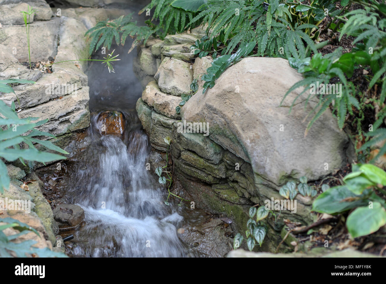 Still life images of small man made waterfall on display at Phipps Conservatory Stock Photo