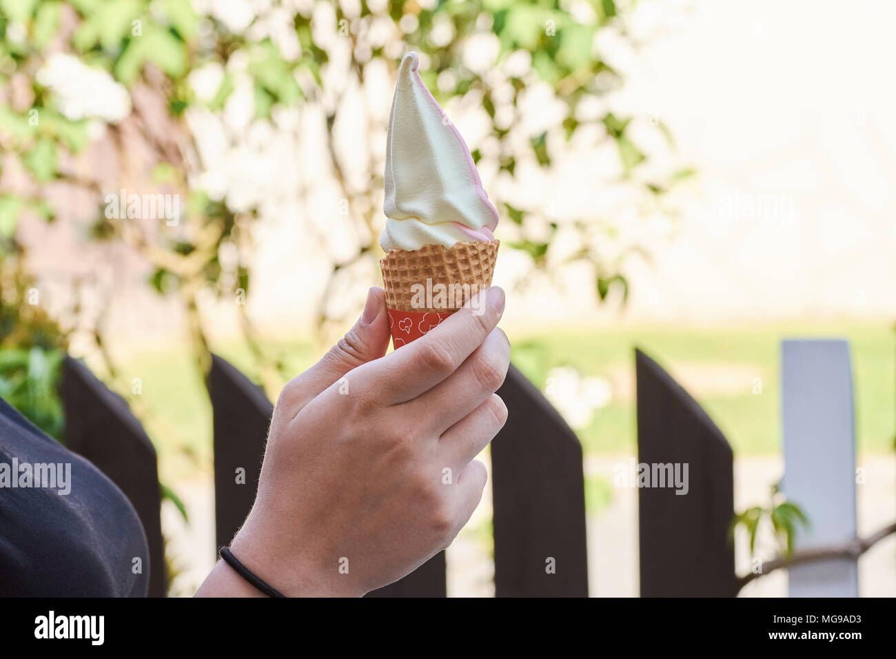 Female hand with ice cream in a cornet with a tree and a fence in the background Stock Photo