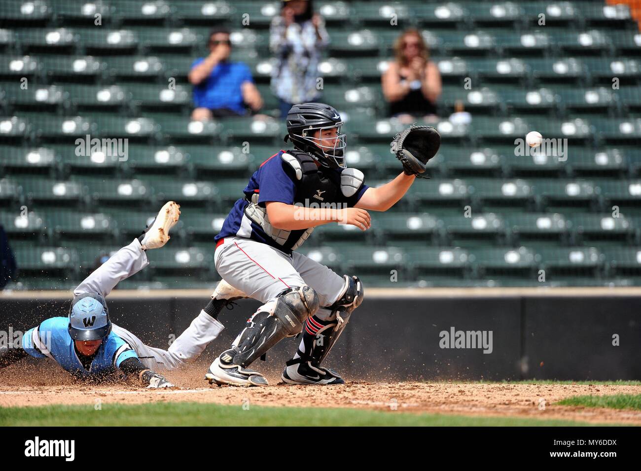 Runner scoring as the opposing catcher awaits a tardy throw from the outfield. USA. Stock Photo