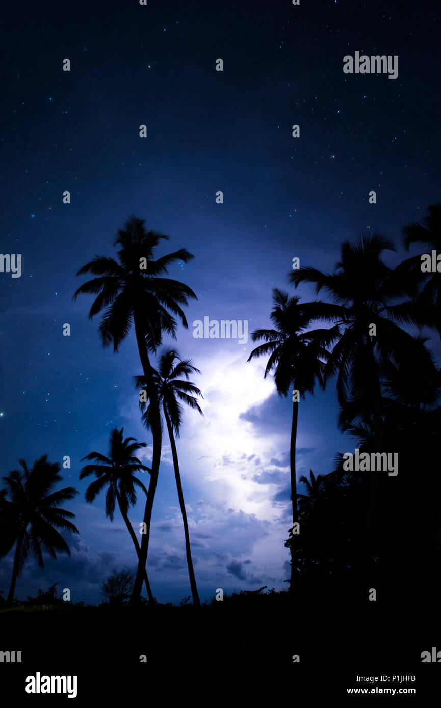 Thunderstorm with sheet lightning under the starry sky behind tropical palms (Catatumbo thunderstorm, the place with the highest lightning density worldwide), Ologa, Zulia, Venezuela, South America Stock Photo