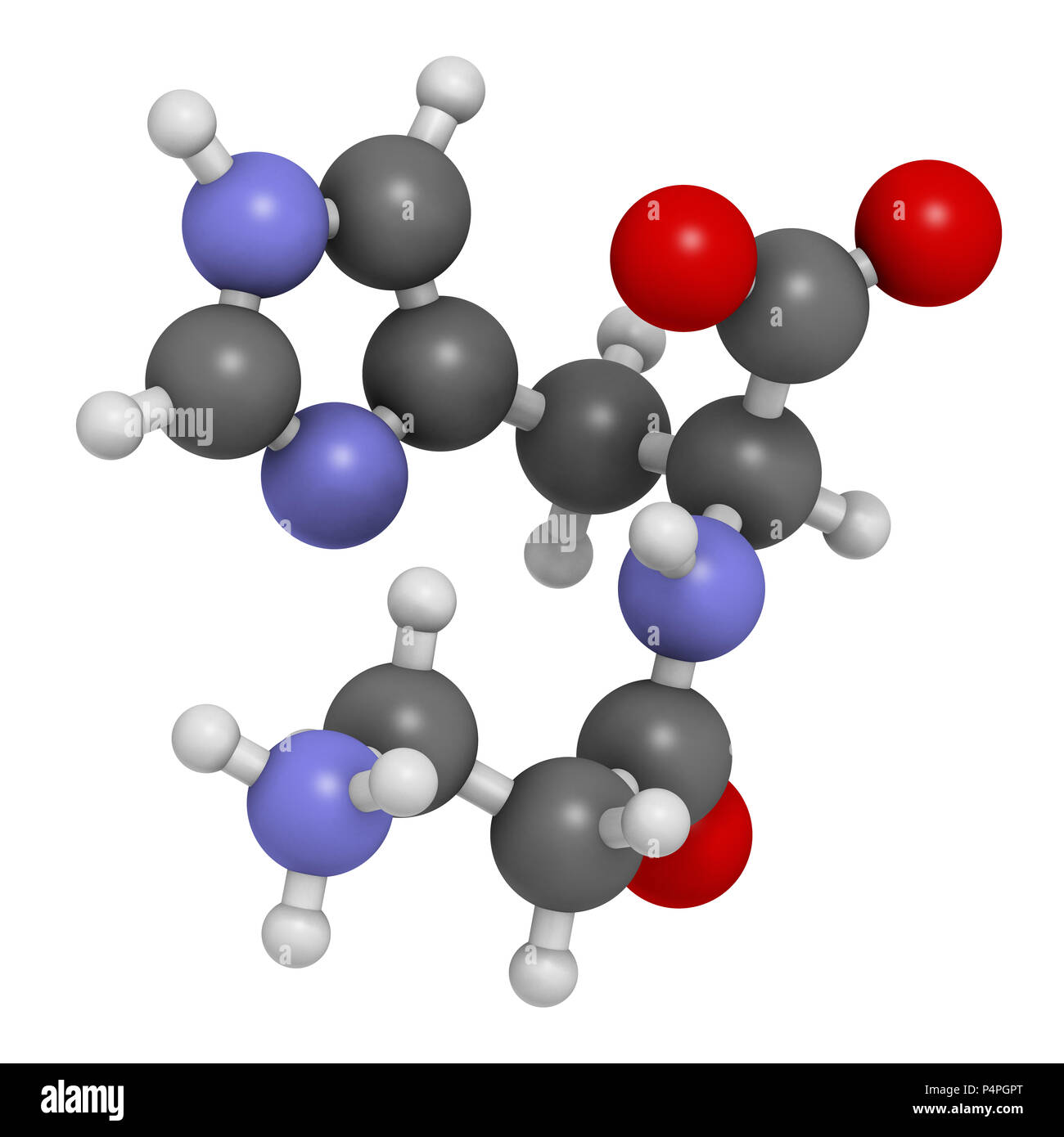 Carnosine (L-carnosine) food supplement molecule. 3D rendering. Atoms are represented as spheres with conventional color coding: hydrogen (white), car Stock Photo