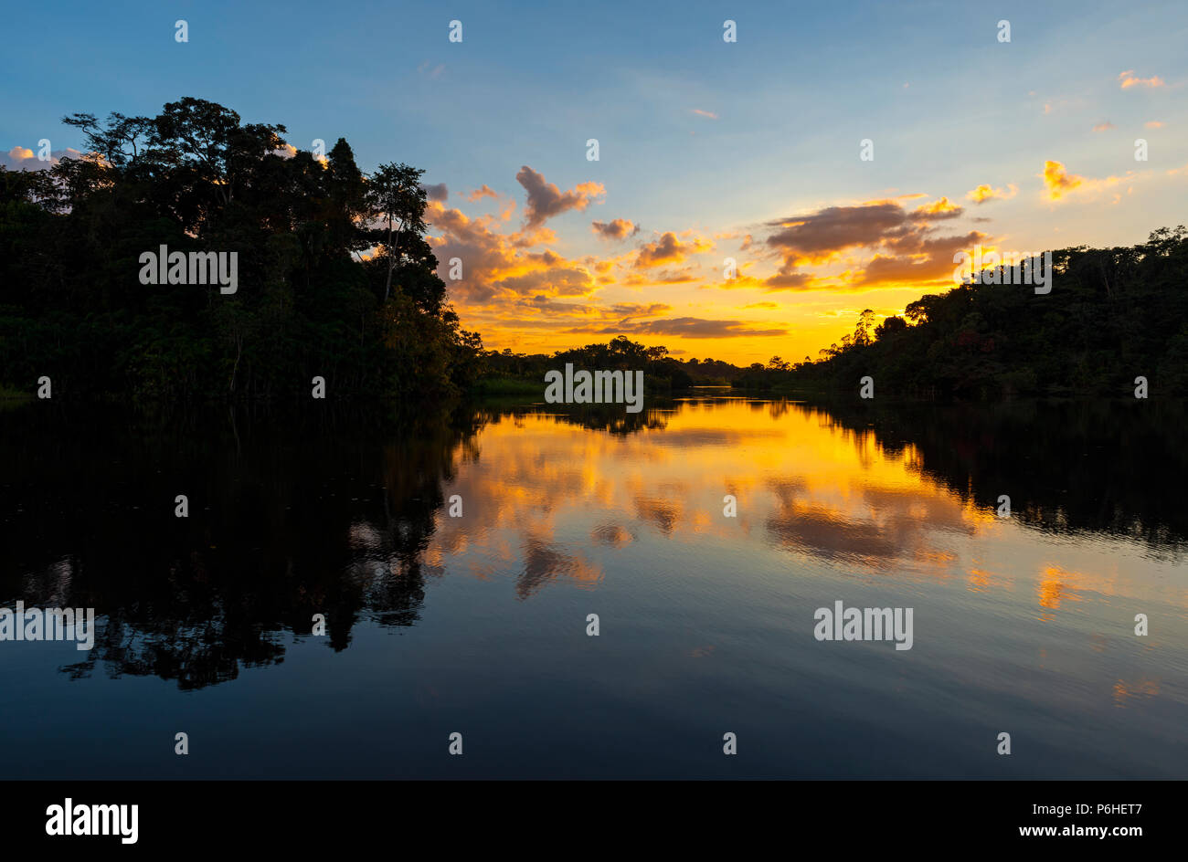 Sunset with a view over the silhouette of the Amazon Rainforest inside the Yasuni national park, Ecuador. Stock Photo