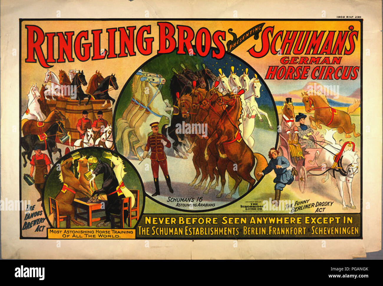 Vintage Circus Poster