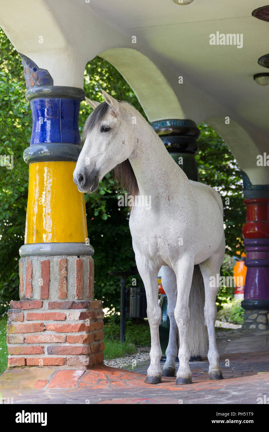 Pure Spanish Horse, PRE, Andalusian Horse. Grey stallion standing among multicolored columns at hotel and spa Rogner Bad Blumenau (designed by Friedensreich Hundertwasser). Styria, Austria Stock Photo