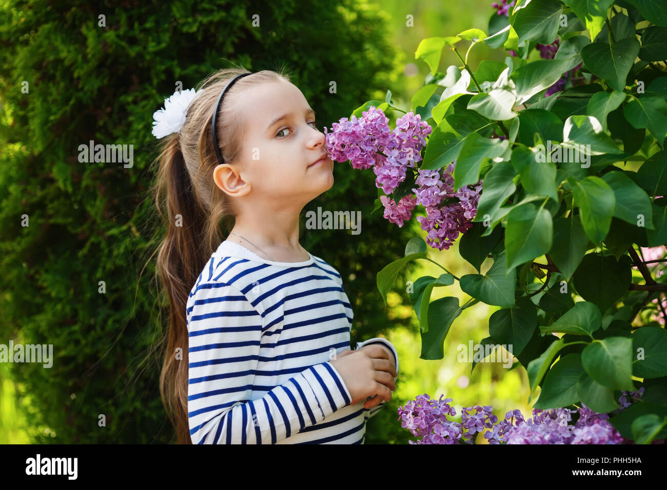 Child smelling lilacs Stock Photo