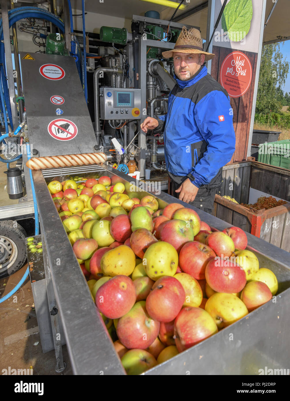 04.09.2018, Brandenburg, Frankfurt (Oder): Mario Flach puts apples in a water bath, part of a mobile fruit juice crusher. The mobile apple juice press tours Berlin and Brandenburg. From a quantity of 100 kilograms of apples, everyone can have their own apple juice pressed here. After pressing, the juice is heated to 80 degrees Celsius and filled into three or five litre tubular bags. From 100 kilograms you can squeeze about 50 to 60 litres of juice. Photo: Patrick Pleul/dpa-Zentralbild/ZB Stock Photo