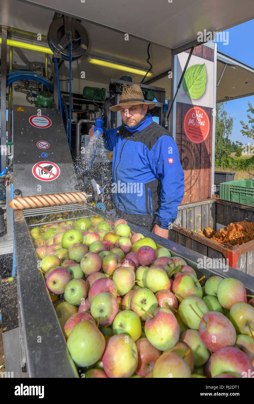 04.09.2018, Brandenburg, Frankfurt (Oder): Mario Flach puts apples in a water bath, part of a mobile fruit juice crusher. The mobile apple juice press tours Berlin and Brandenburg. From a quantity of 100 kilograms of apples, everyone can have their own apple juice pressed here. After pressing, the juice is heated to 80 degrees Celsius and filled into three or five litre tubular bags. From 100 kilograms you can squeeze about 50 to 60 litres of juice. Photo: Patrick Pleul/dpa-Zentralbild/ZB Stock Photo