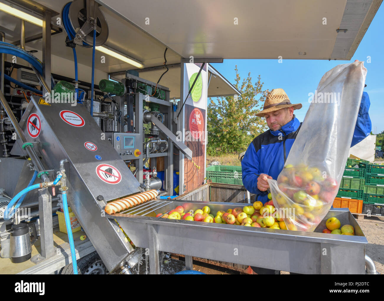 04.09.2018, Brandenburg, Frankfurt (Oder): Mario Flach puts apples in a water bath, part of a mobile fruit juice crusher. The mobile apple juice press tours Berlin and Brandenburg. From a quantity of 100 kilograms of apples, everyone can have their own apple juice pressed here. After pressing, the juice is heated to 80 degrees Celsius and filled into three or five litre tubular bags. From 100 kilograms you can squeeze about 50 to 60 litres of juice. Photo: Patrick Pleul/dpa-Zentralbild/ZB Stock Photo