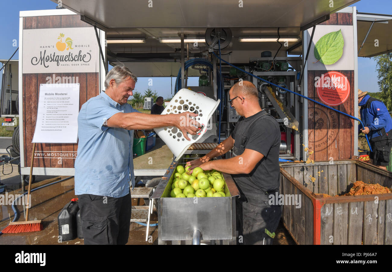 04.09.2018, Brandenburg, Frankfurt (Oder): Roland Hinrich (l) brings about 200 kilograms to Mario Flach's mobile cider crusher from Berlin. The mobile apple juice press tours Berlin and Brandenburg. From a quantity of 100 kilograms of apples, everyone can have their own apple juice pressed here. After pressing, the juice is heated to 80 degrees Celsius and filled into three or five litre tubular bags. From 100 kilograms you can squeeze about 50 to 60 litres of juice. Photo: Patrick Pleul/dpa-Zentralbild/ZB Stock Photo