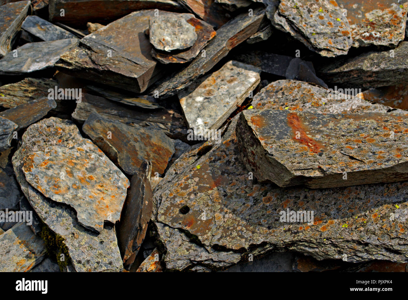 Pieces of slate with lichen in Snowdonia, North Wales Stock Photo