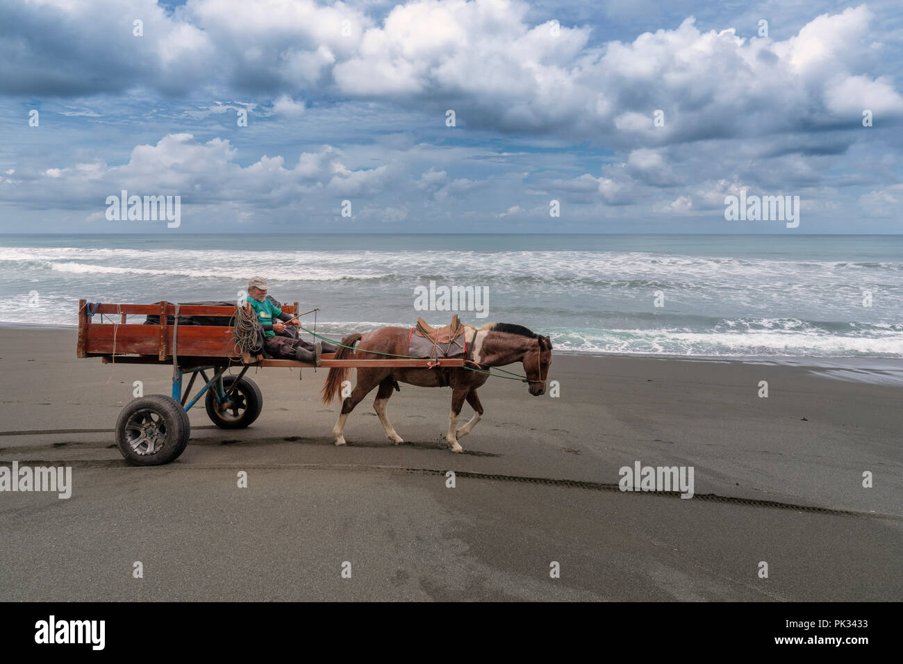 Man using a horse and cart on the beach, Osa Peninsula, Costa Rica Stock Photo