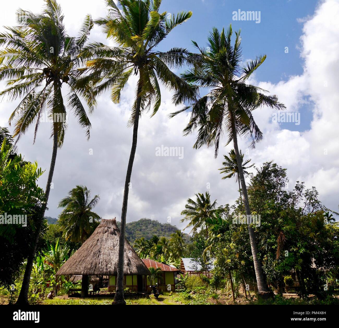 Simple traditional house in countryside on Indonesian island of West Timor with tall palms in foreground and mountains beyond Stock Photo