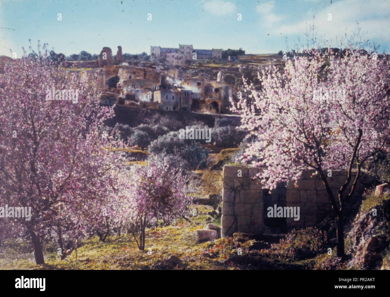 Mount of Olives, Bethphage and Bethany Bethany in the garb of spring. Matt. 2117. 1950, West Bank, Bethany, Middle East Stock Photo