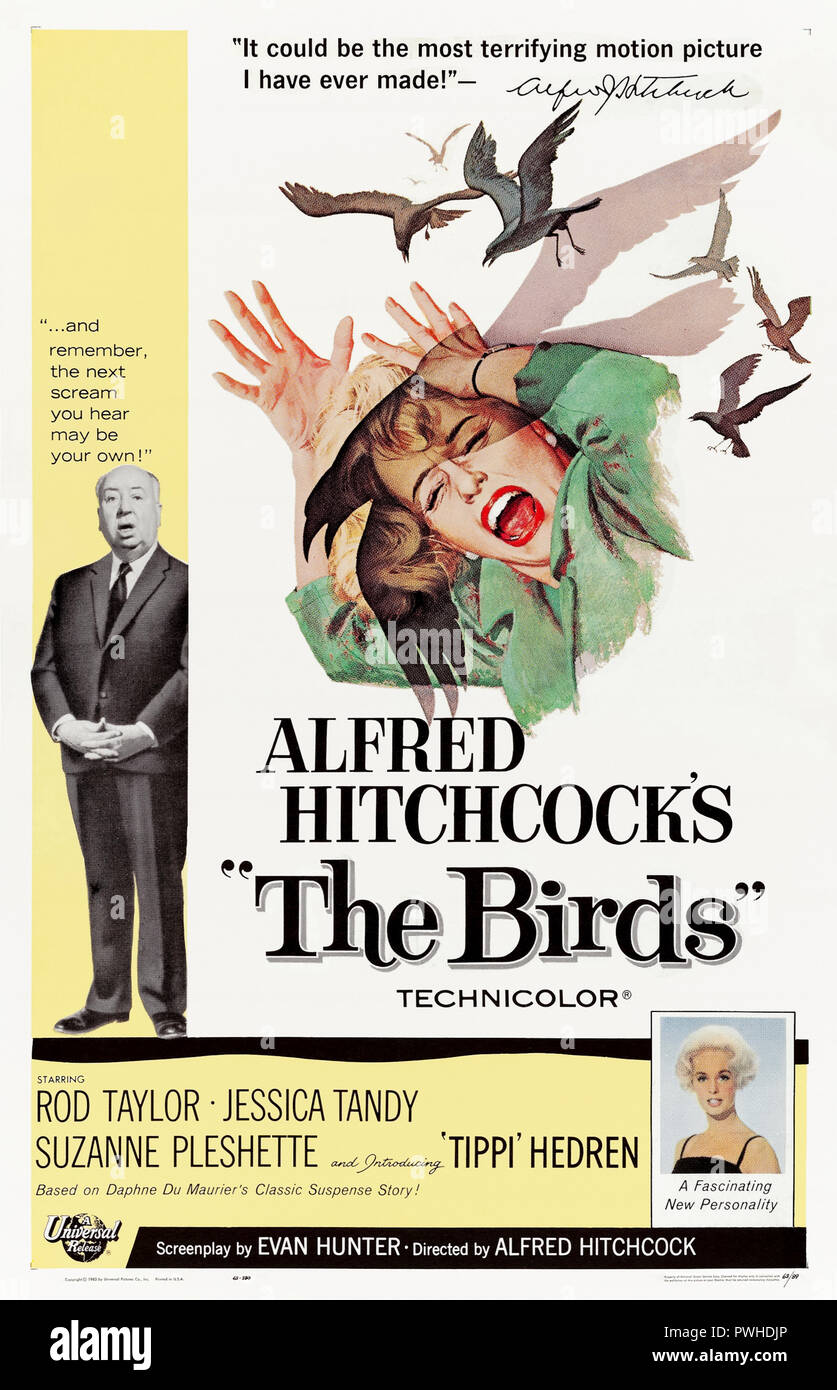 The Birds (1963) directed by Alfred Hitchcock and starring Rod Taylor, Tippi Hedren, Jessica Tandy and Suzanne Pleshette. Masterful film adaptation of Daphne Du Maurier’s horror story about birds attacking humans. Stock Photo