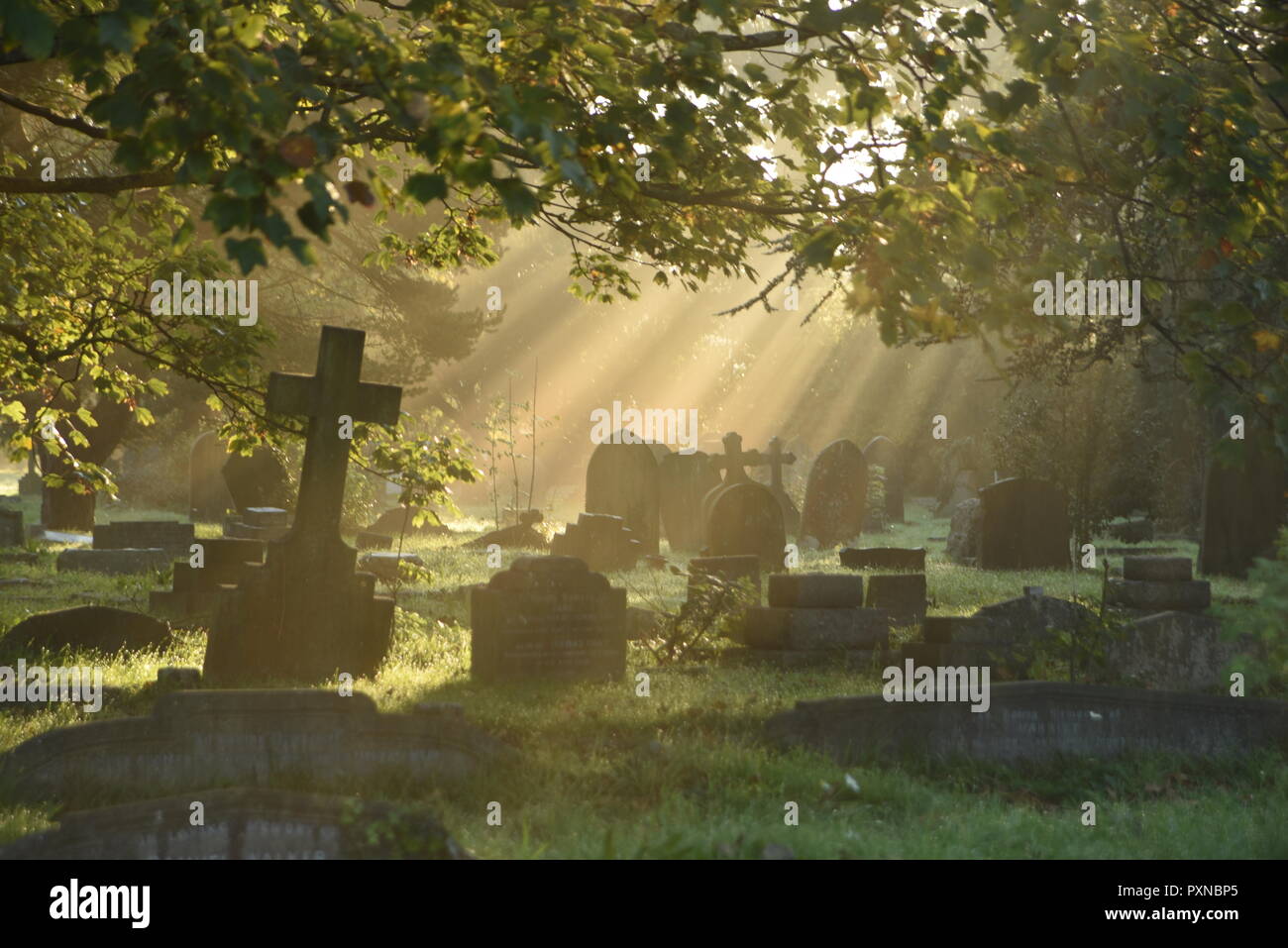 Misty graveyard Stock Photo