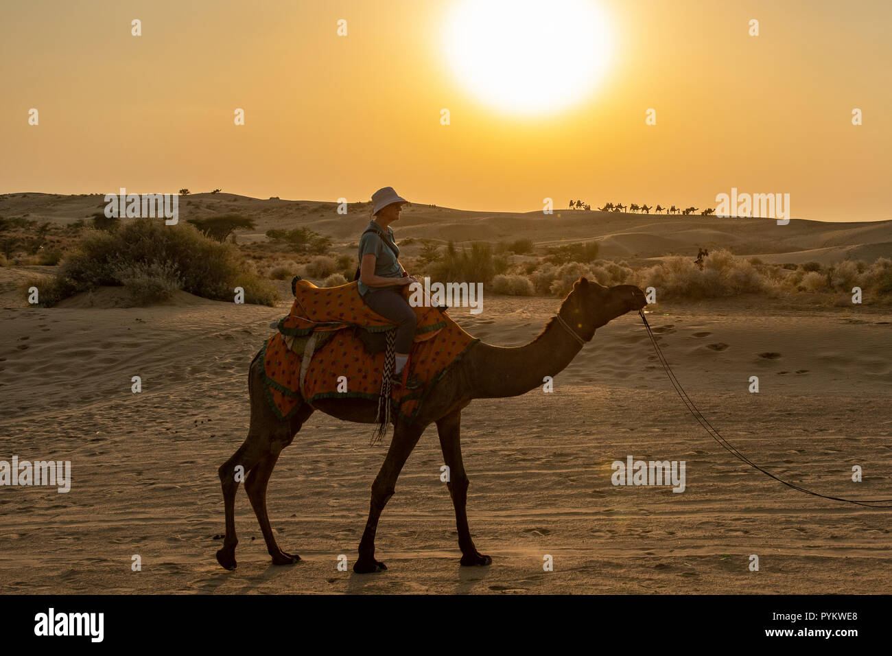 Camel Rider in Sam Desert, near Jaisalmer, Rajasthan, India Stock Photo