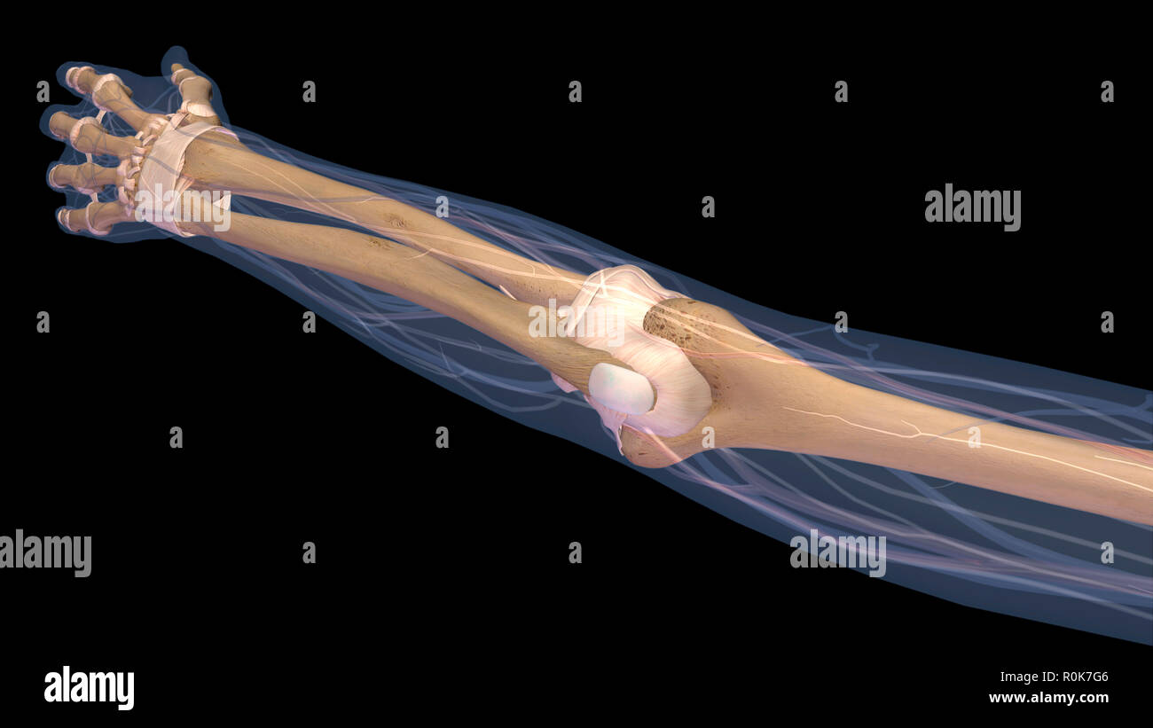 Arm elbow joint and bones x-ray on black background. Stock Photo