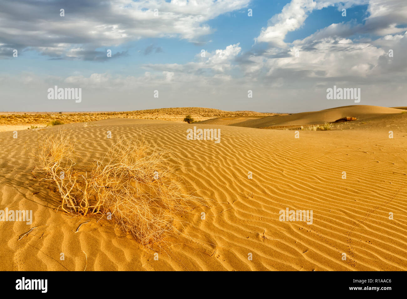 Sand dunes in desert Stock Photo