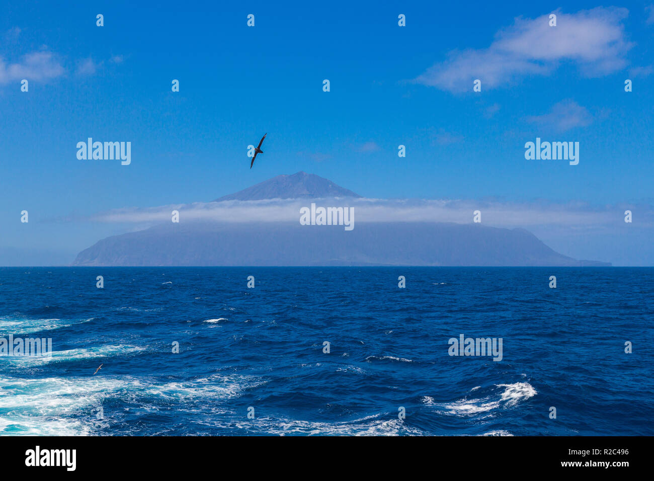 Tristan da Cunha, the most remote island, South Atlantic Ocean - British overseas territory. Volcano covered with clouds and seagull on foreground. Stock Photo