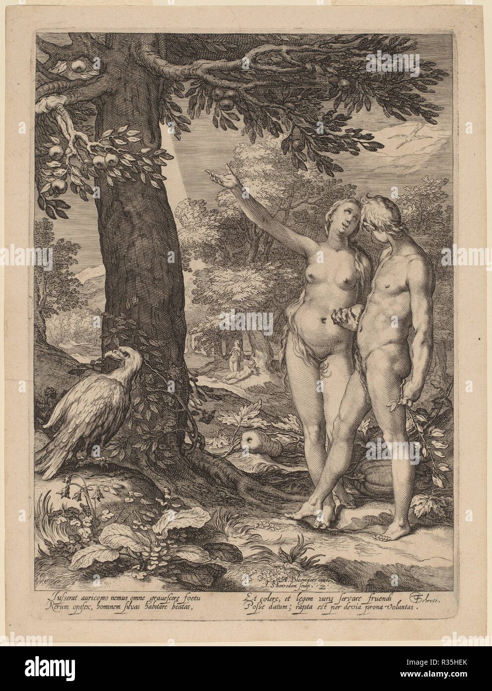 Adam and Eve before the Tree of Knowledge. Dated: 1604. Dimensions: plate: 27.5 x 19.9 cm (10 13/16 x 7 13/16 in.)  sheet: 29.4 x 22.4 cm (11 9/16 x 8 13/16 in.). Medium: engraving on laid paper. Museum: National Gallery of Art, Washington DC. Author: Jan Pietersz Saenredam after Abraham Bloemaert. Stock Photo