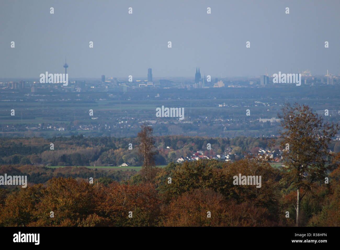 cologne panorama in autumn Stock Photo