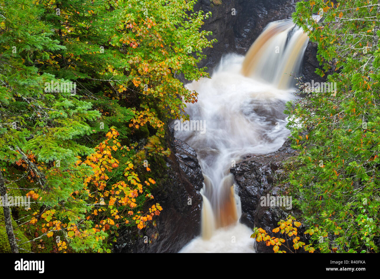 Minnesota, Cascade River State Park. The Cascades Stock Photo