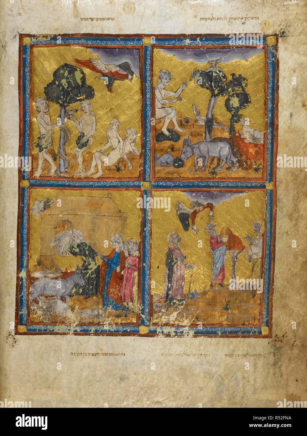 Adam and Eve. The Golden Haggadah. Catalonia, early 14th century. [Top right] : Adam and Eve and the serpent - the right hand side shows the creation of Eve from Adam's rib. Other images from the Book of Genesis. Vellum manuscript.  Image taken from The Golden Haggadah.  Originally published/produced in Catalonia, early 14th century. . Source: Add. 27210, f.2v. Language: Hebrew. Stock Photo