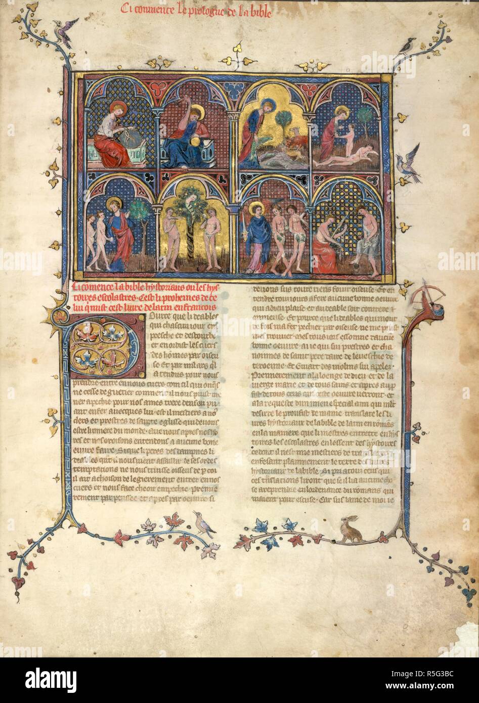 Miniature divided into eight arcades showing scenes from Genesis: in the top four God divides the earth with compasses; makes the sun with a hammer; bends down to put a large fish in the sea as various beasts look on; and draws Eve from the rib of sleeping Adam. In the lower scenes he shows the Tree of the Knowledge; the serpent encourages Adam and Eve to eat the fruit; an angel with a sword drives Adam and Eve, from the garden; and in the final scene Adam uses a spade, Eve spins with a spindle; decorated initial 'P'(ource), and partial borders. Bible Historiale, 1st part (Genesis-Maccabees).  Stock Photo