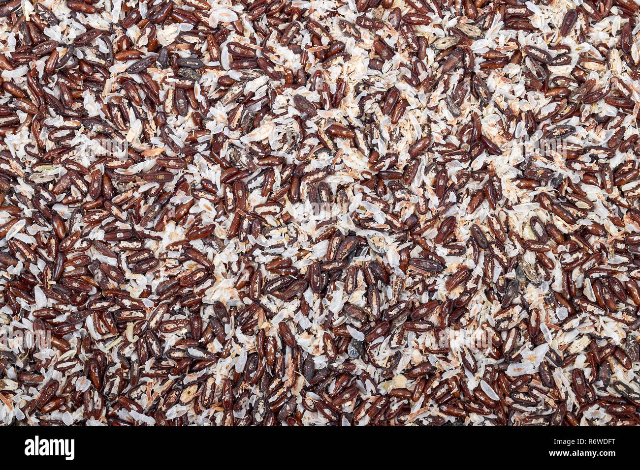 Mix of Plantago afra L. (Plantago psyllium) seeds and Plantago ovata (blond psyllium) husks, widely used as a dietary fiber. Stock Photo