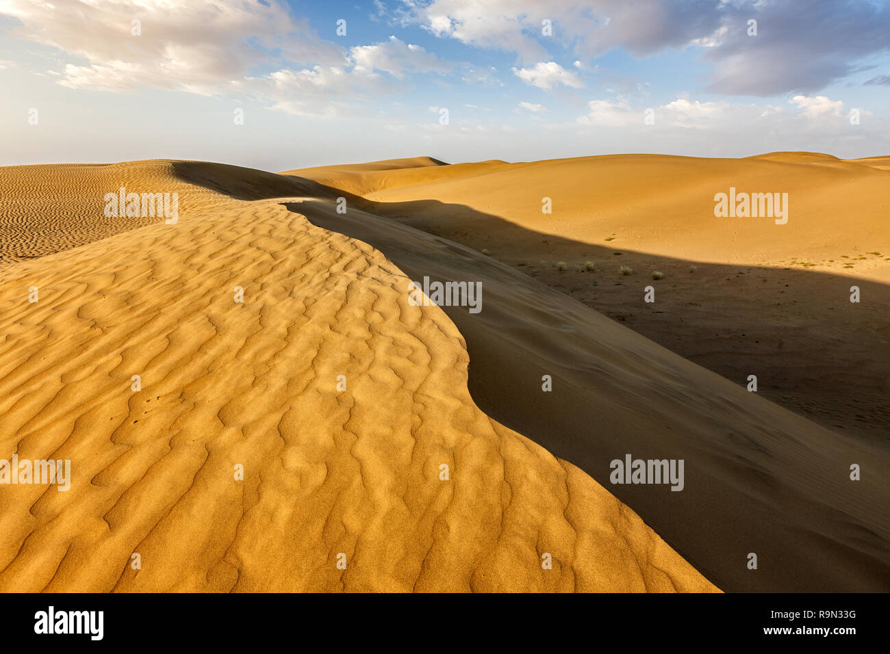 Sand dunes in desert Stock Photo