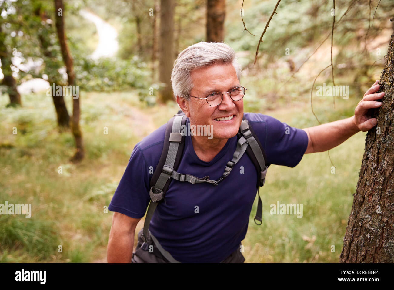 Middle aged Caucasian man taking a break during a hike, leaning on a tree in a forest, waist up Stock Photo