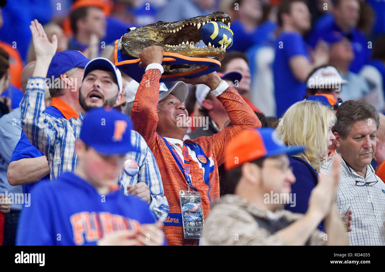 Gator stadium hi-res stock photography and images - Alamy